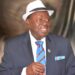Aare Afe Babalola, 1960/1963 Constitution, Nigeria, 2023 Elections 