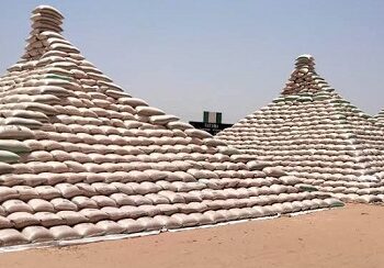 Rice Pyramids, PMB, Pomp, Pageantry, Bala Ibrahim