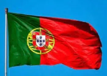Portuguese voters, abroad, recast votes, election mess up 