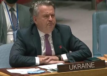 Sergei Kislitsa, UN, emergency, Security Council meeting, Ukraine, Russia