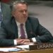 Sergei Kislitsa, UN, emergency, Security Council meeting, Ukraine, Russia