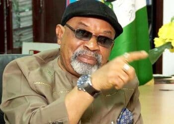 Chris Ngige, Lack of funds, forces FG, renegotiate, ASUU agreement, Labour minister 
