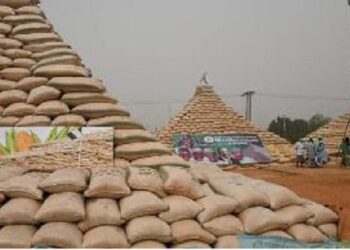 maize pyramids, huger bites, Nigeria