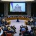 Volodymyr Zelensky, Ukrainian president, Dissolve, UN Security Council
