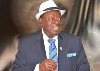 Afenifere, Afe Babalola, interim govt, poll suspension