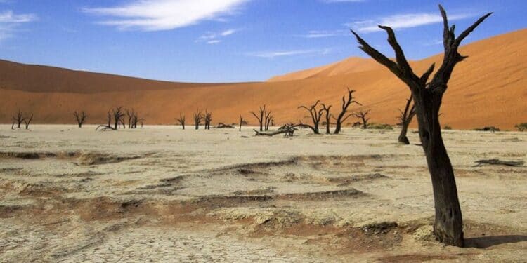 climate reporting, Africa, Ahmad Adedimeji Amobi