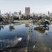 South Africa, flood, death tolls, Dozens missing