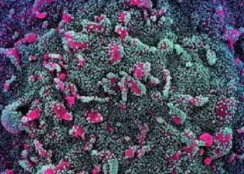 XE, Coronavirus variant, New, highly contagious, identified, spreading, UK