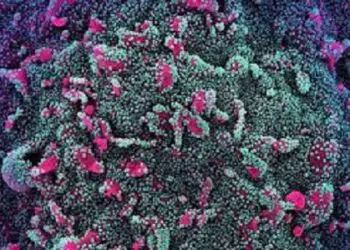 XE, Coronavirus variant, New, highly contagious, identified, spreading, UK