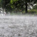 heavy rain, NiMet, warning, parts of Nigeria