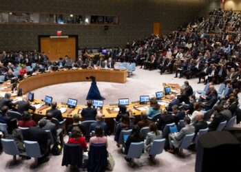 UN Security Council, Aids proposals, Proposals fail
