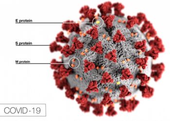 New Covid-19, NCDC, WHO, Nigeria