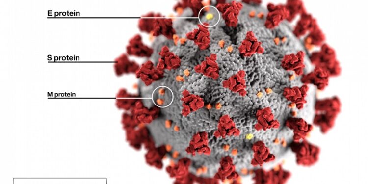 New Covid-19, NCDC, WHO, Nigeria