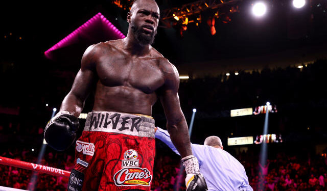 Deontay Wilder, Not quitting, Boxing