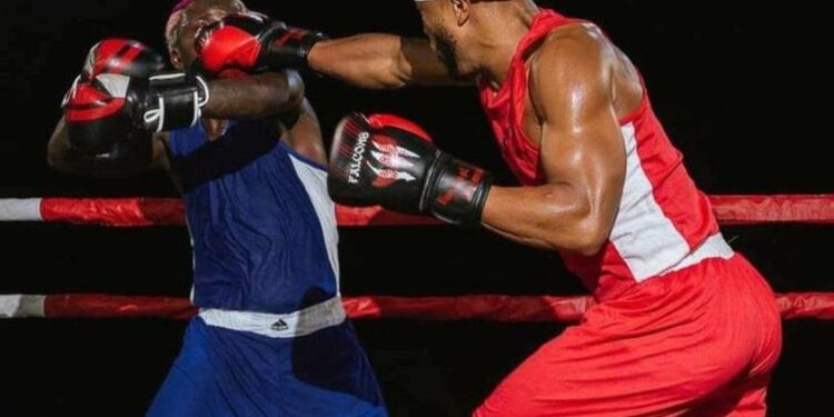 Charles Okocha, Portable, Rematch, Celebrity Boxing