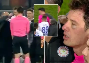 FOOTBALL HOOLIGANISM: Referee beaten, Turkey, Turkish Super Lig