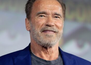 German authority, Customs, Arnold Schwarzenegger, Luxury watch