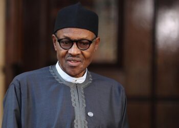 Muhammadu Buhari, years, waste, Bolaji Adebiyi