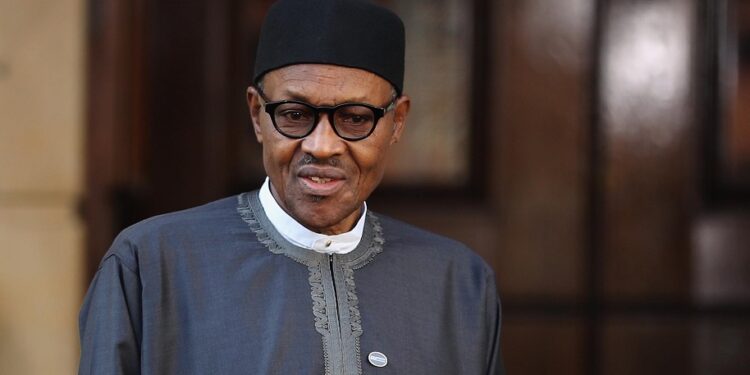 Muhammadu Buhari, years, waste, Bolaji Adebiyi