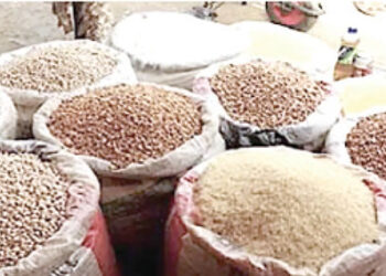 Mohammed Umar Bago, HUNGER IN NIGERIA, Niger gov, Sales, Distribution, Food, Farm produce, to other states