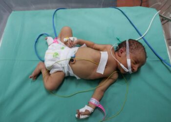 Mothers, Small babies, Sickly newborns, Stillbirths, Gaza, UN