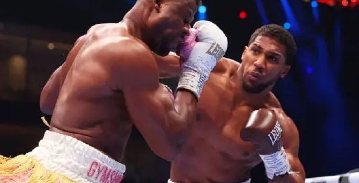 NMA, Francis Ngannou, Boxing