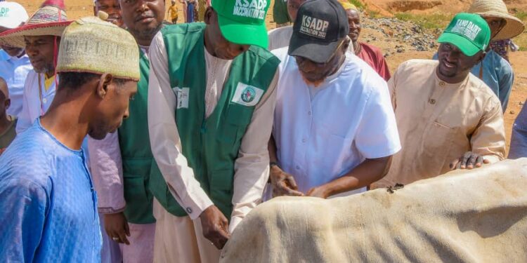 KSADP, One Health, Gwale vet lab, National Veterinary Research Institute