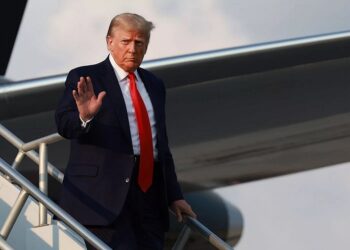 Donald Trump, Trial judges, Fans, Violence