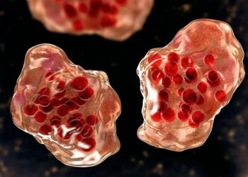 42 die, Measles outbreak, Northeast Nigeria, Adamawa