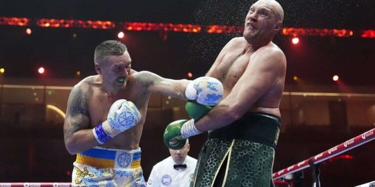 Tyson Fury, Oleksandr Usyk, War sympathy, Boxing, Undisputed