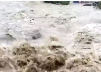 N4.4bn redeemed, N13.1bn pledges, Maiduguri flood victims