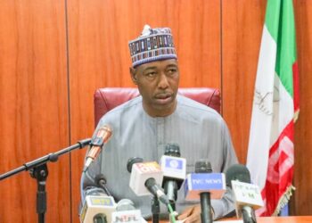 FLOODING, Swiss government, DonatION, €1.2 million, Borno State