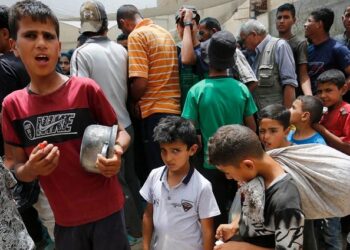 Smell of death, Northern Gaza, UNRWA