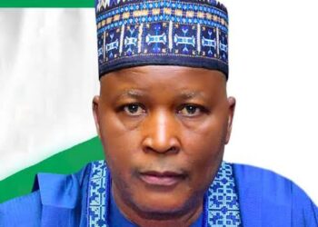 MINISTER GWARZO’S REMOVAL: Matters Arising