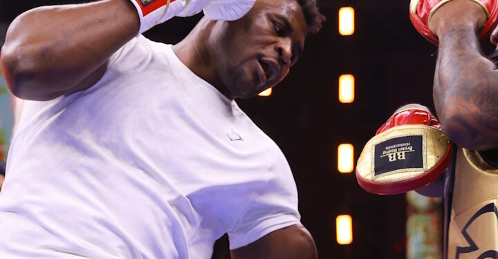 Oleksandr Usyk, Tyson Fury, Undisputed rematch, Francis Ngannou