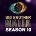 BBNAIJA, SEASON 10, Audition