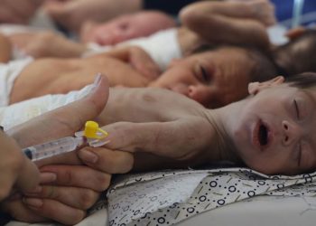 GAZA, Worst-case scenario, Aid blockade, Mass starvation, UN