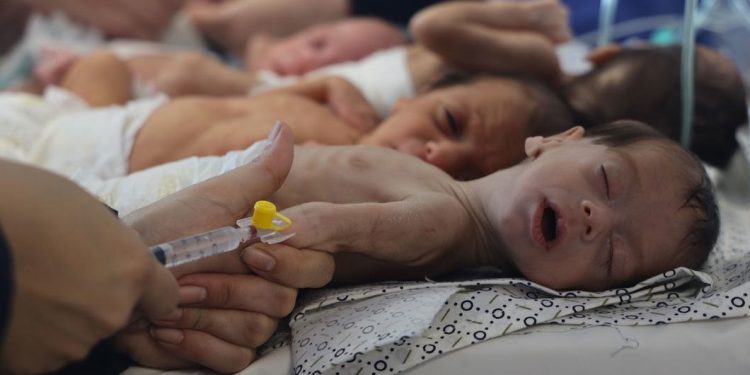 GAZA, Worst-case scenario, Aid blockade, Mass starvation, UN