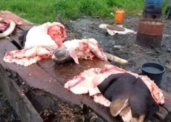 Illegal abattoir, Lagos, Bad meat