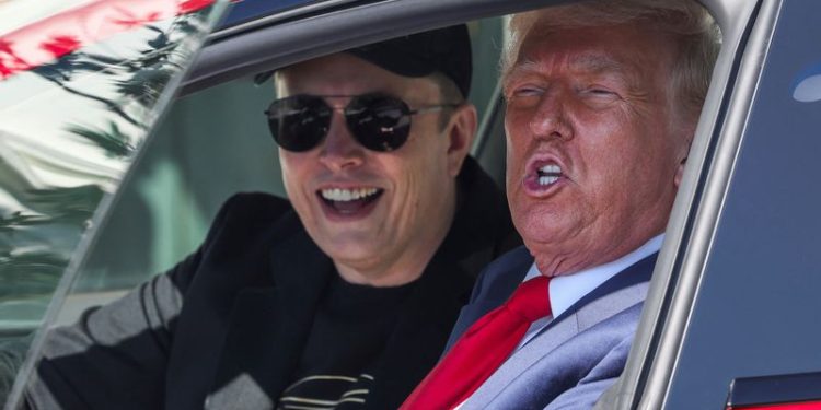 Elon Musk, X post, Donald Trump, Pedophile