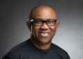 Peter Obi, ADC, Presidential election, South says no compromise