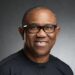 Peter Obi, ADC, Presidential election, South says no compromise