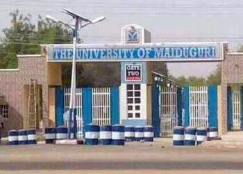 Education minister, Bola Tinubu, UNIMAID renaming, Muhammadu Buhari